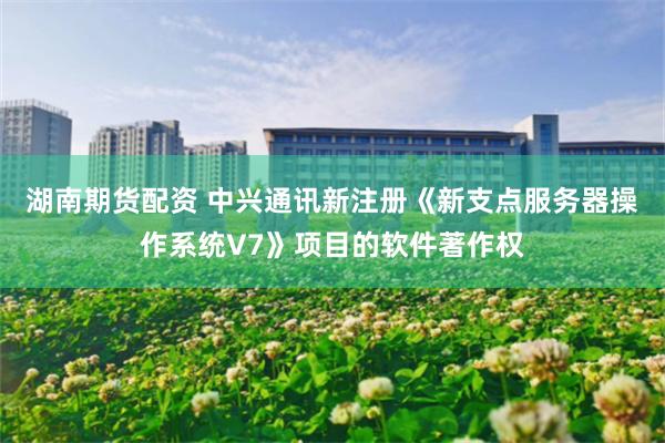 湖南期货配资 中兴通讯新注册《新支点服务器操作系统V7》项目的软件著作权