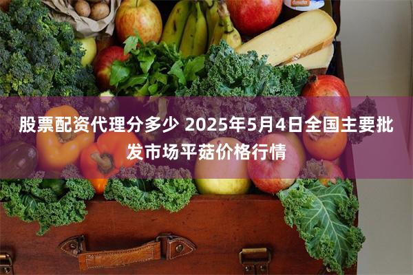 股票配资代理分多少 2025年5月4日全国主要批发市场平菇价格行情