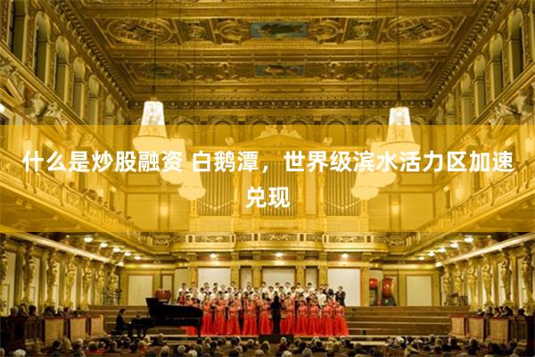 什么是炒股融资 白鹅潭，世界级滨水活力区加速兑现