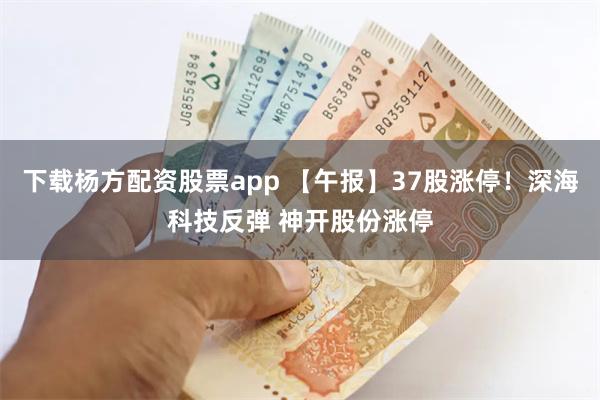 下载杨方配资股票app 【午报】37股涨停！深海科技反弹 神开股份涨停