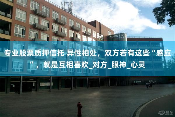 专业股票质押信托 异性相处，双方若有这些“感应”，就是互相喜欢_对方_眼神_心灵
