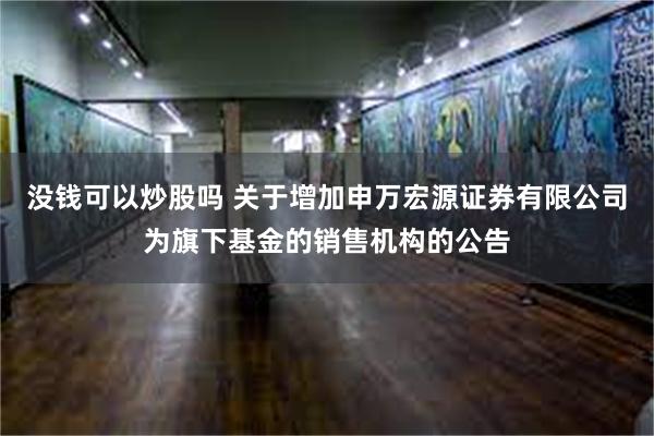 没钱可以炒股吗 关于增加申万宏源证券有限公司为旗下基金的销售机构的公告