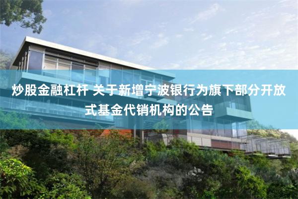 炒股金融杠杆 关于新增宁波银行为旗下部分开放式基金代销机构的公告