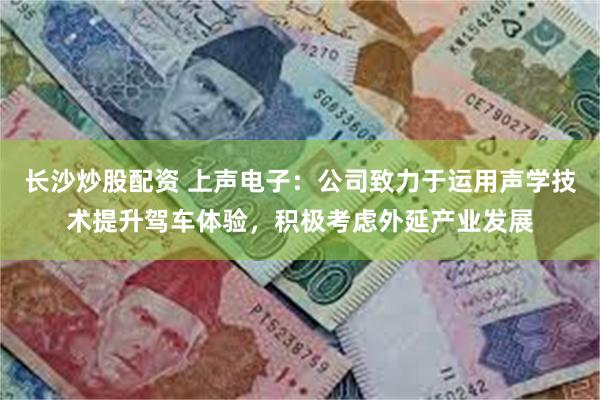 长沙炒股配资 上声电子：公司致力于运用声学技术提升驾车体验，积极考虑外延产业发展