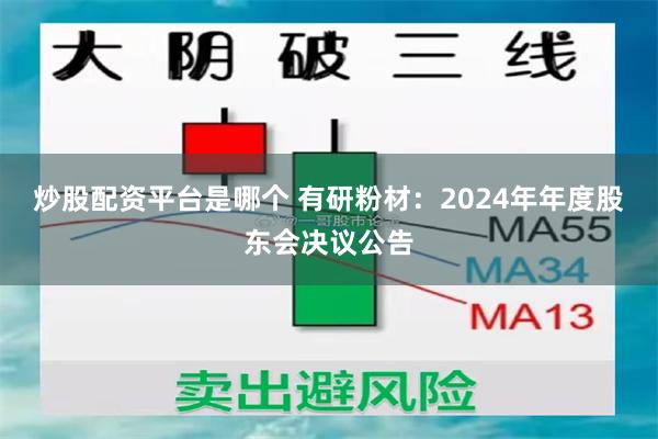 炒股配资平台是哪个 有研粉材：2024年年度股东会决议公告