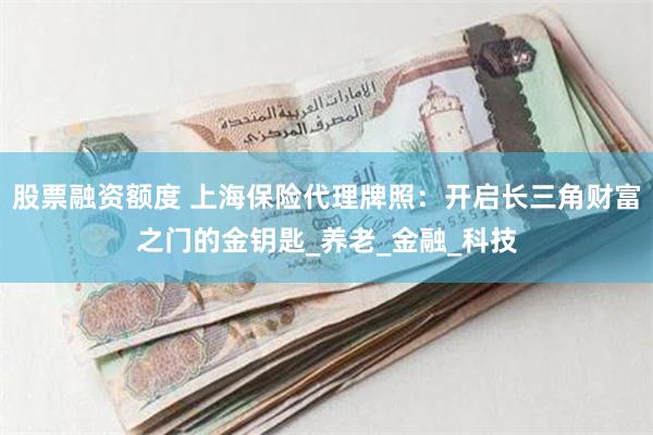 股票融资额度 上海保险代理牌照：开启长三角财富之门的金钥匙_养老_金融_科技