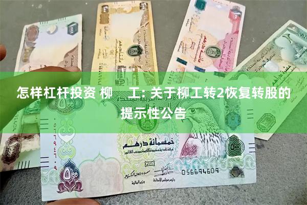 怎样杠杆投资 柳 工: 关于柳工转2恢复转股的提示性公告