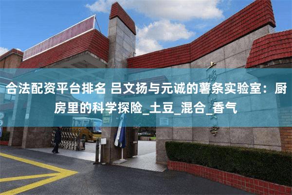 合法配资平台排名 吕文扬与元诚的薯条实验室：厨房里的科学探险_土豆_混合_香气