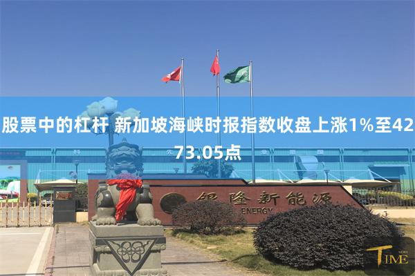 股票中的杠杆 新加坡海峡时报指数收盘上涨1%至4273.05点
