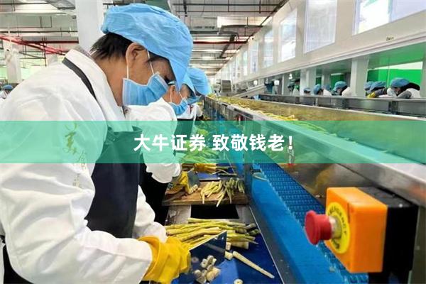 大牛证券 致敬钱老！